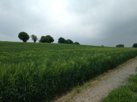 Tipperary Boutique Distillery
